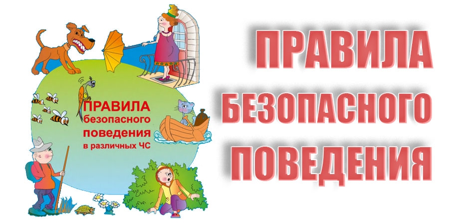 Инфографики по безопасности.